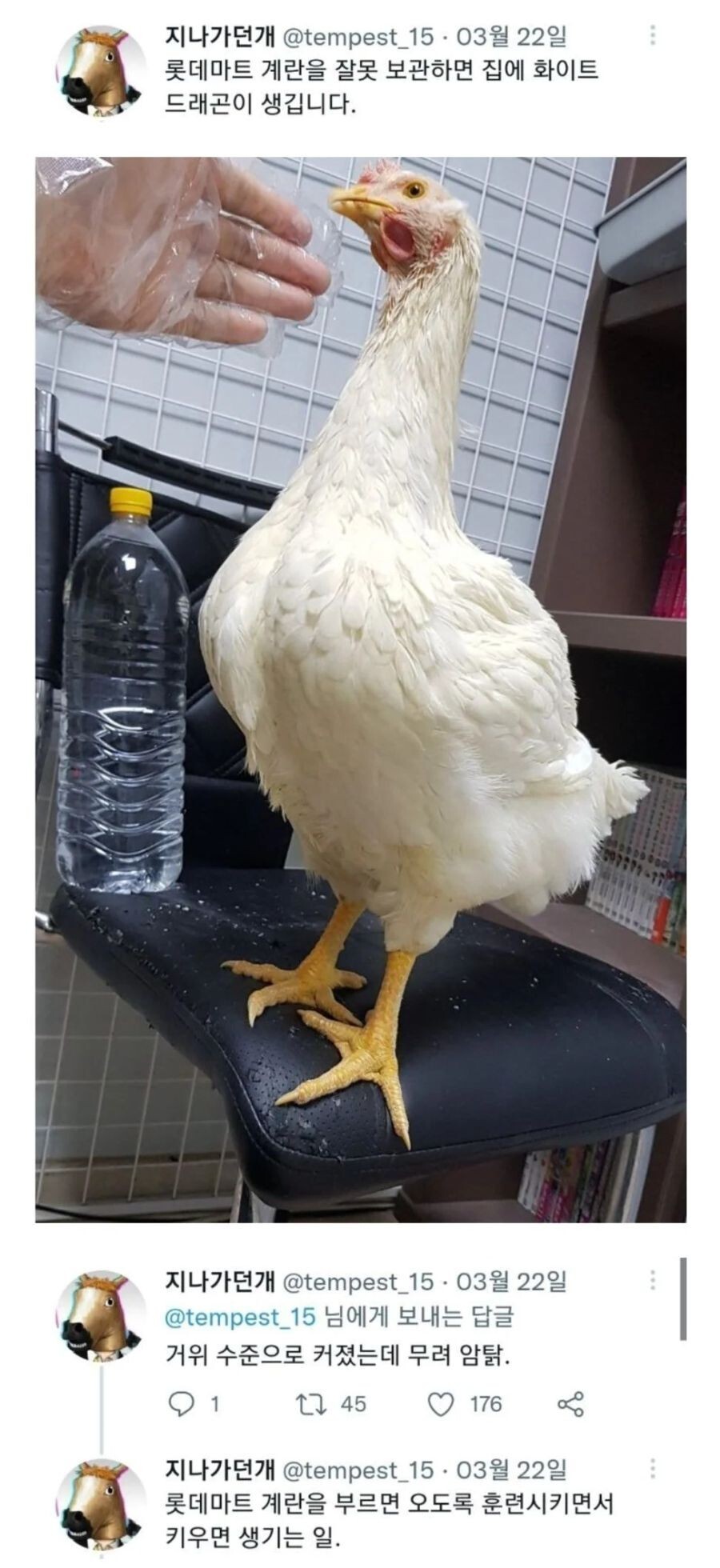 1.jpeg