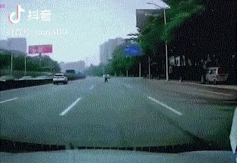 singlebungle1472-20220131-111502-007.gif
