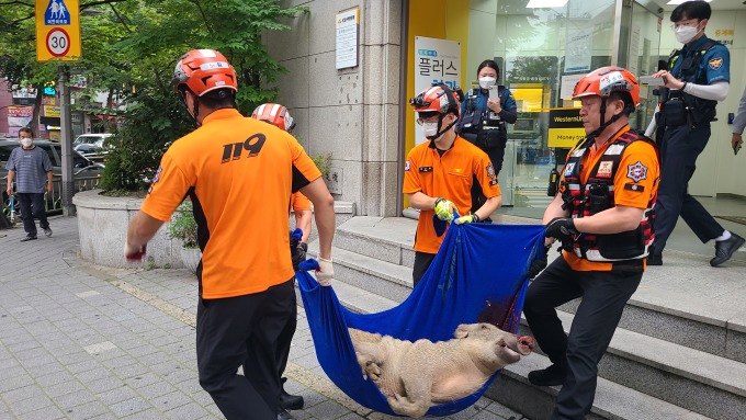 image.png 국민은행에서 총 맞고 죽은 페미니스트........JPG