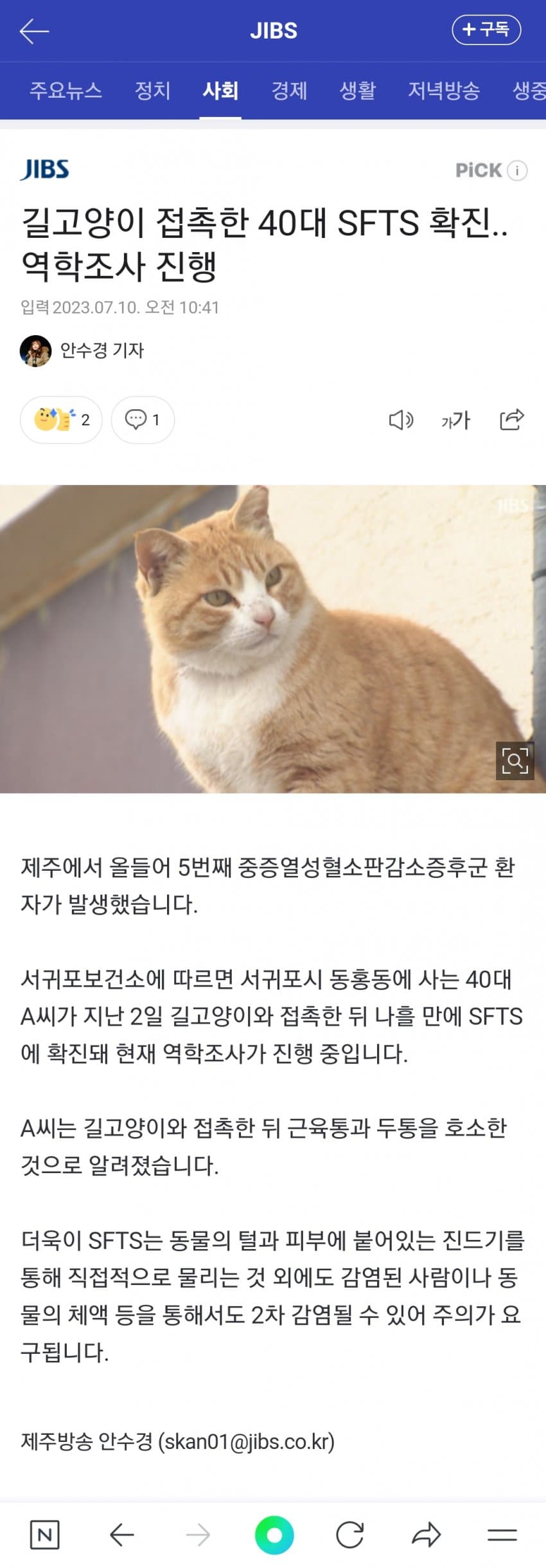 1688956457.jpg 속보) 길고양이 접촉한 40대 중증혈소판감소증후군 확진.jpg