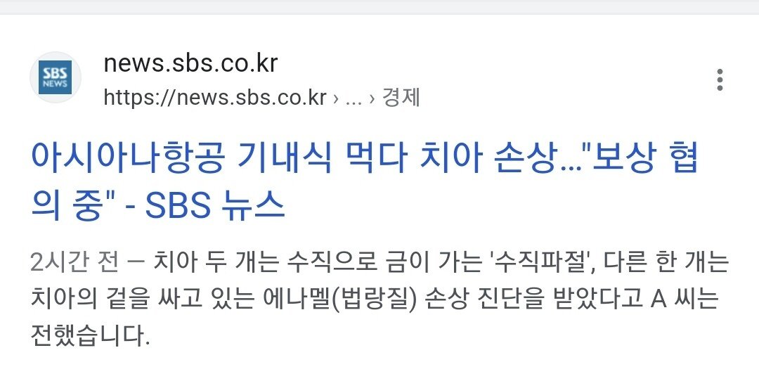 Screenshot_20230510_131732_Samsung Internet.jpg 아시아나 기내식 치아파절 사건 근황.jpg