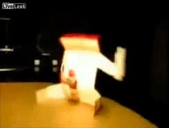 14.gif