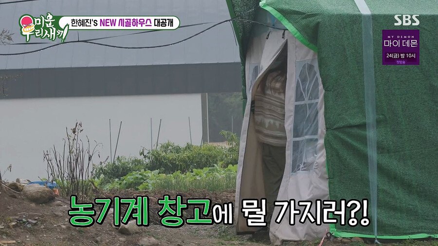 김짤.com_002.jpg