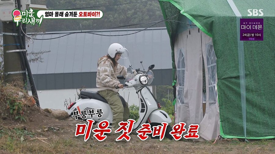 김짤.com_006.jpg
