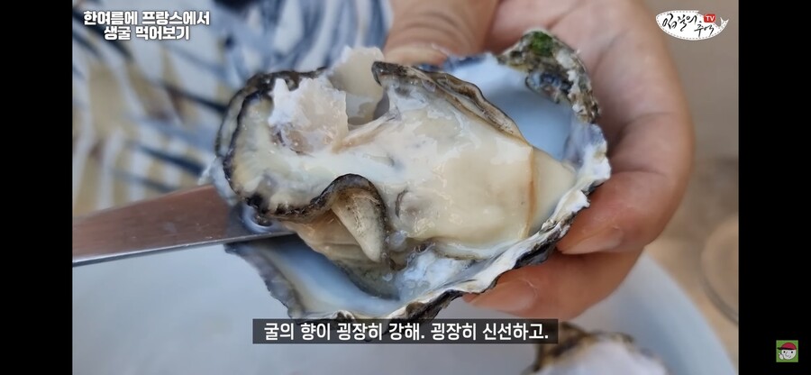 김짤.com_005.jpg