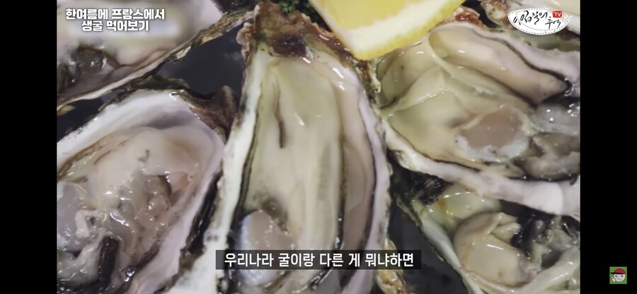 김짤.com_004.jpg