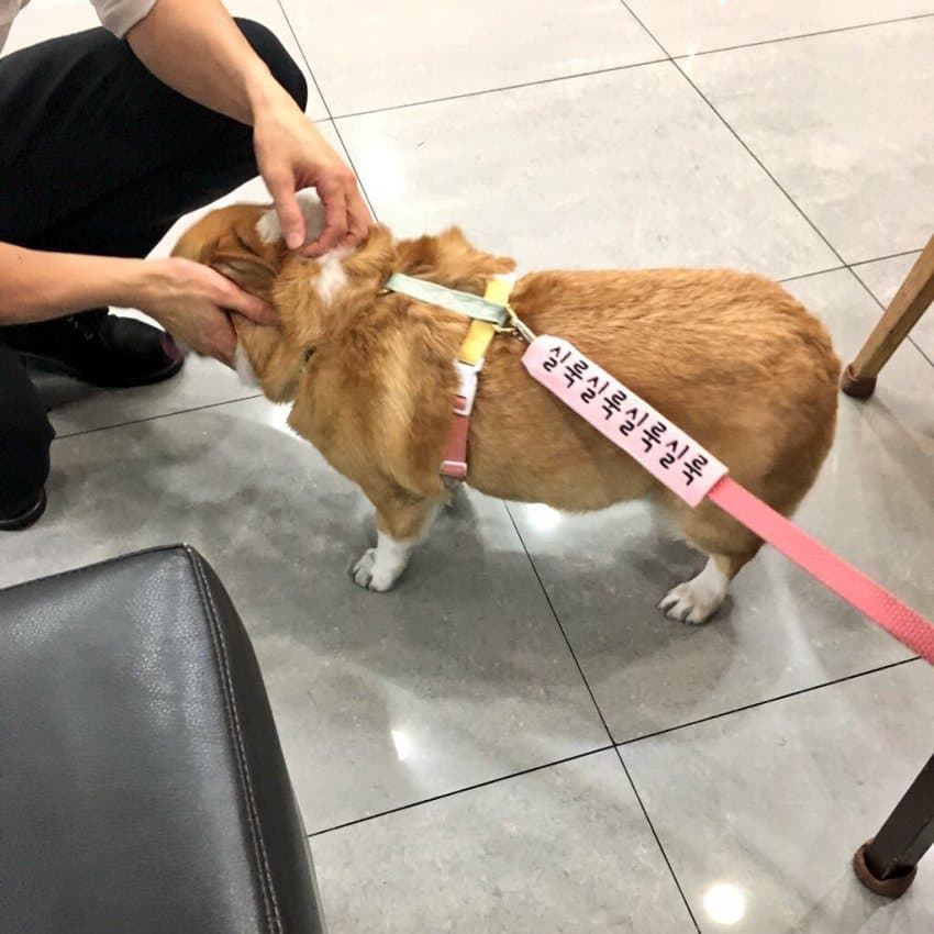 24post.co.kr_002.jpg