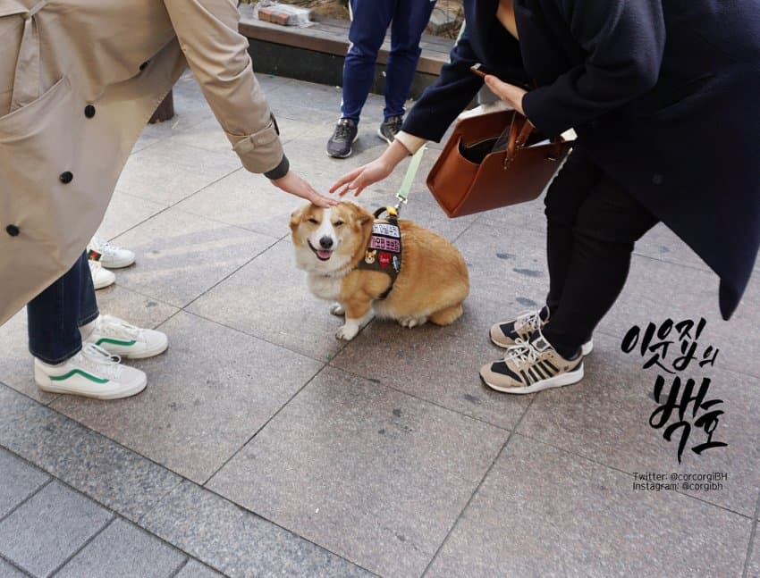 24post.co.kr_017.jpg
