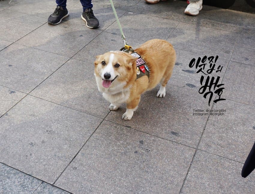 24post.co.kr_019.jpg