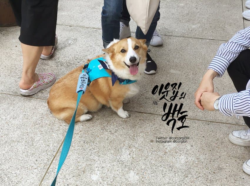 24post.co.kr_013.jpg