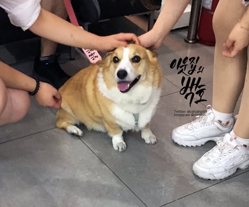 24post.co.kr_008.jpg