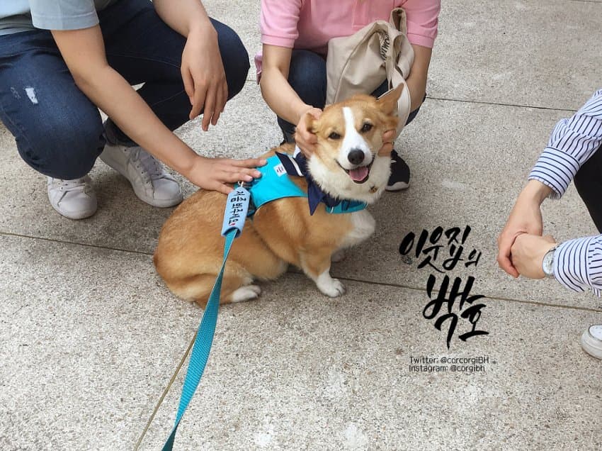 24post.co.kr_014.jpg