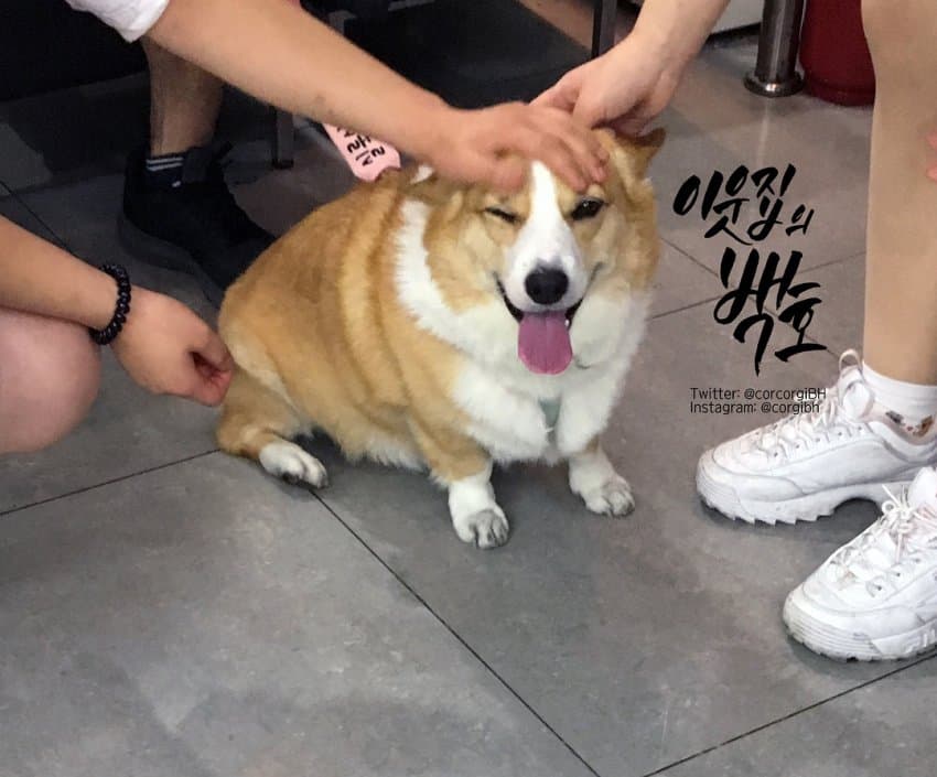 24post.co.kr_009.jpg