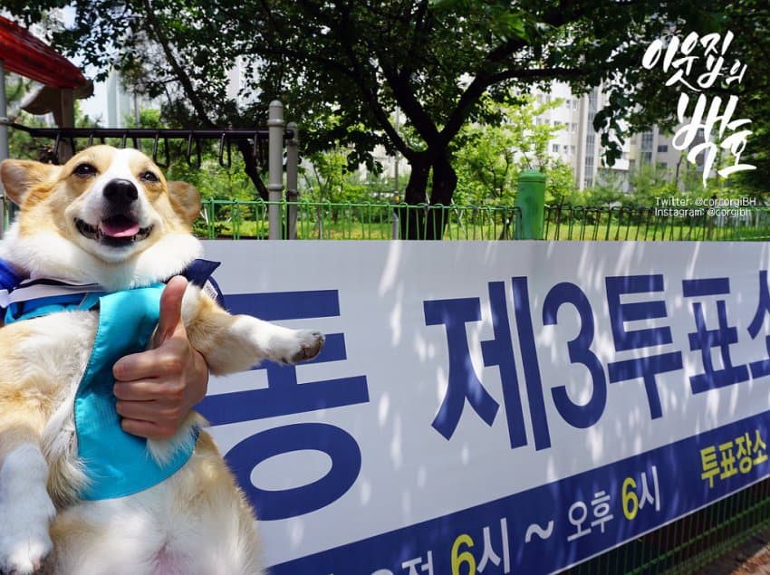 24post.co.kr_012.jpg