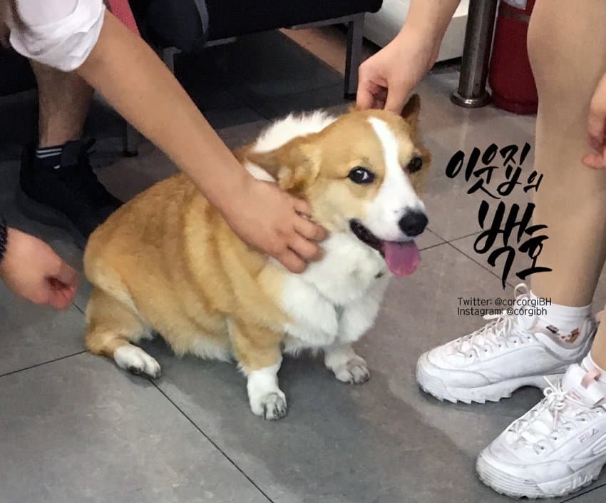 24post.co.kr_010.jpg