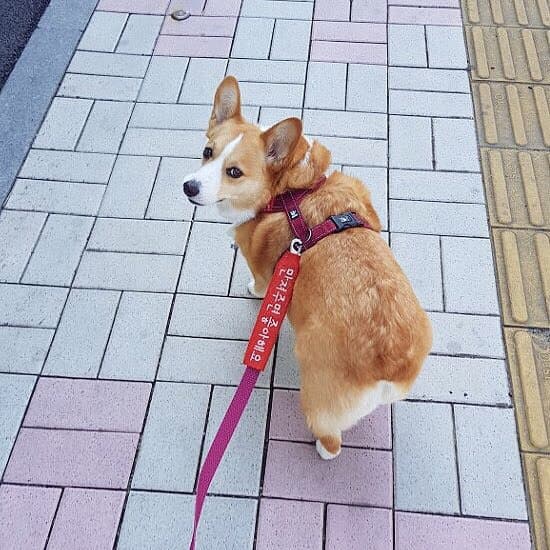 24post.co.kr_001.jpg