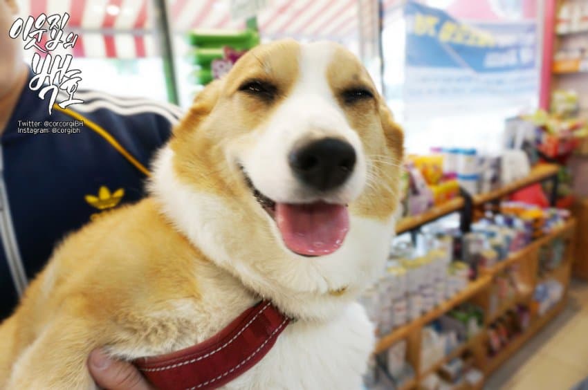 24post.co.kr_016.jpg