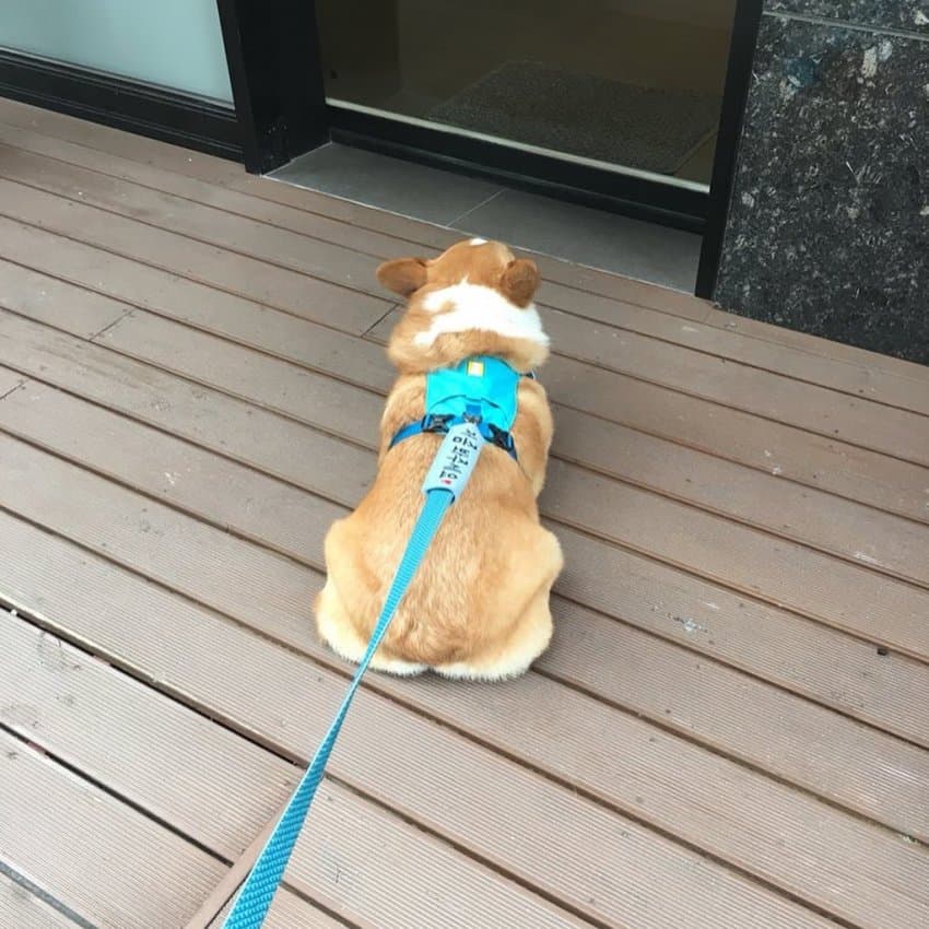 24post.co.kr_004.jpg