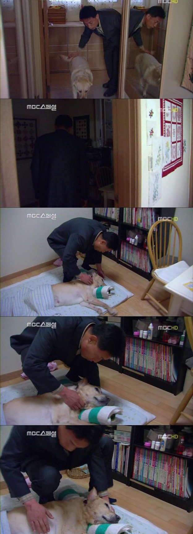 8.jpg 아빠 엄마랑 스무살까지 같이 살자고 약속한 리트리버