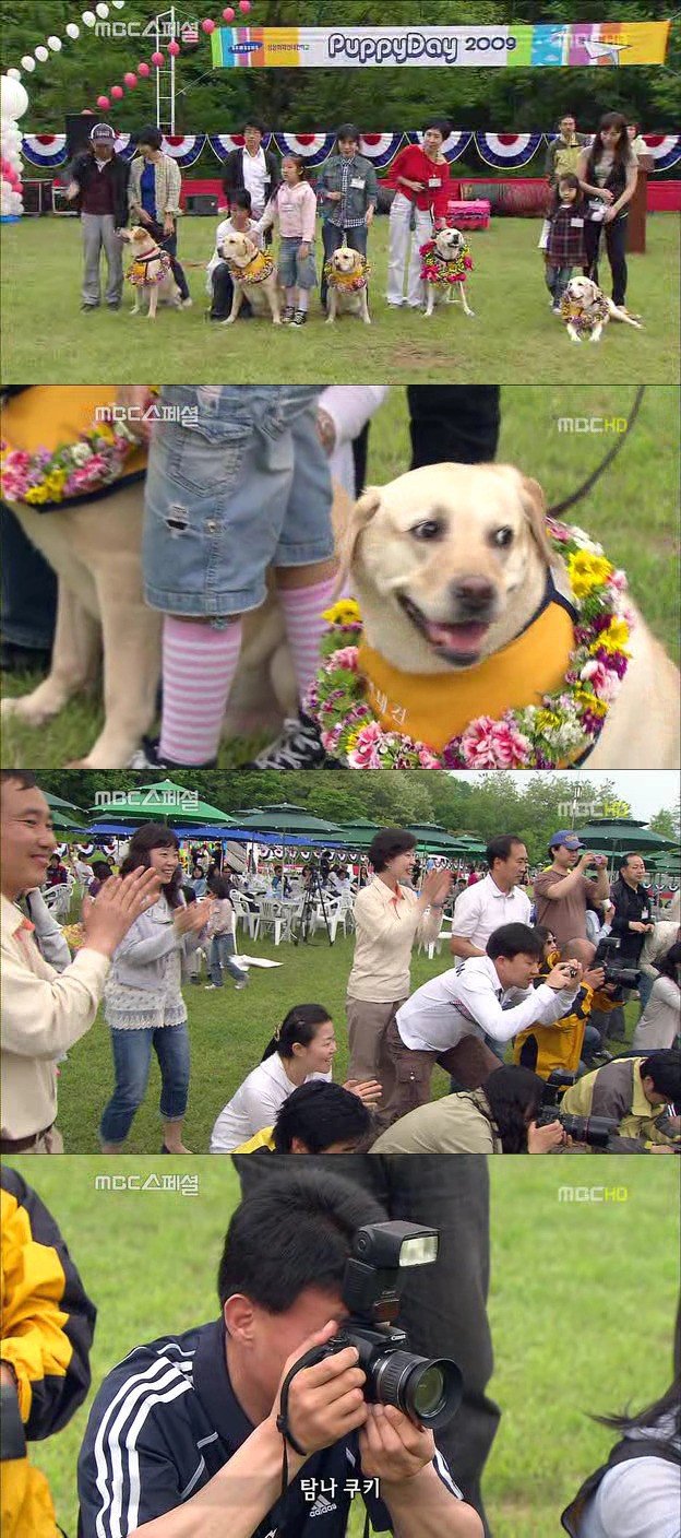 18.jpg 아빠 엄마랑 스무살까지 같이 살자고 약속한 리트리버