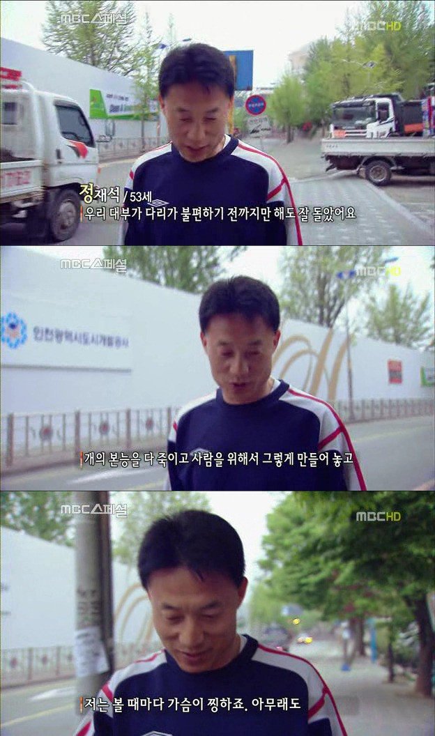 9.jpg 아빠 엄마랑 스무살까지 같이 살자고 약속한 리트리버