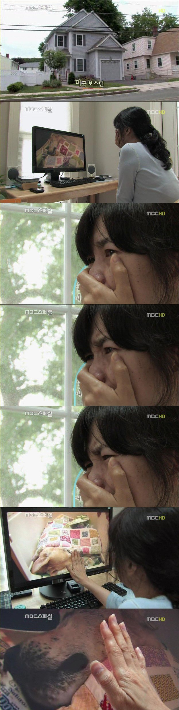 25.jpg 아빠 엄마랑 스무살까지 같이 살자고 약속한 리트리버