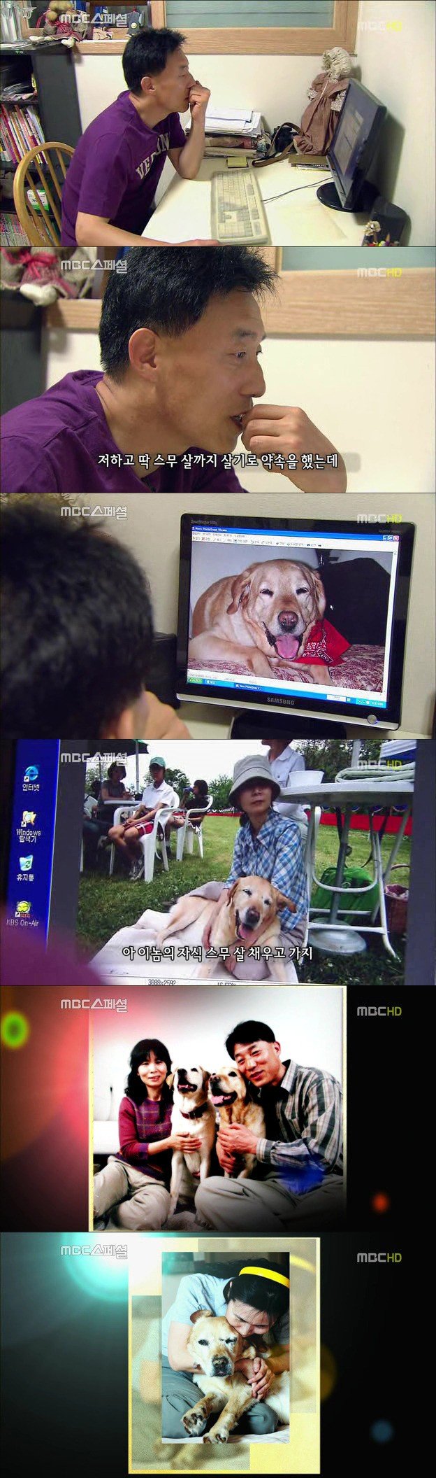 27.jpg 아빠 엄마랑 스무살까지 같이 살자고 약속한 리트리버