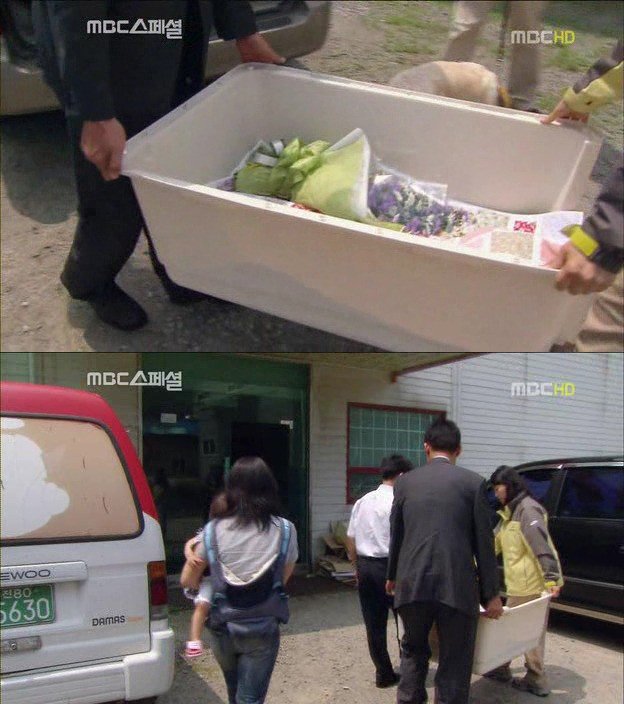 20.jpg 아빠 엄마랑 스무살까지 같이 살자고 약속한 리트리버