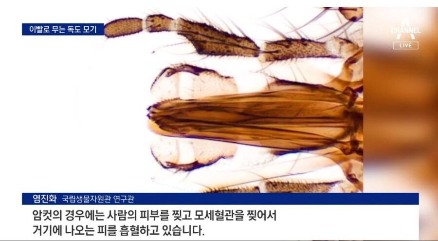 24post.co.kr_009.jpg