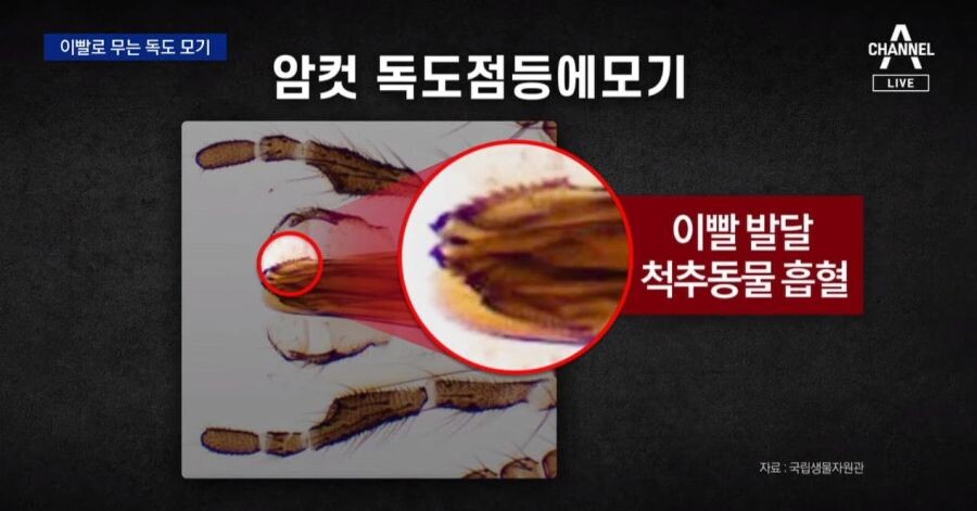 24post.co.kr_008.jpg