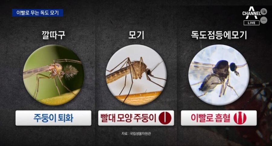 24post.co.kr_007.jpg