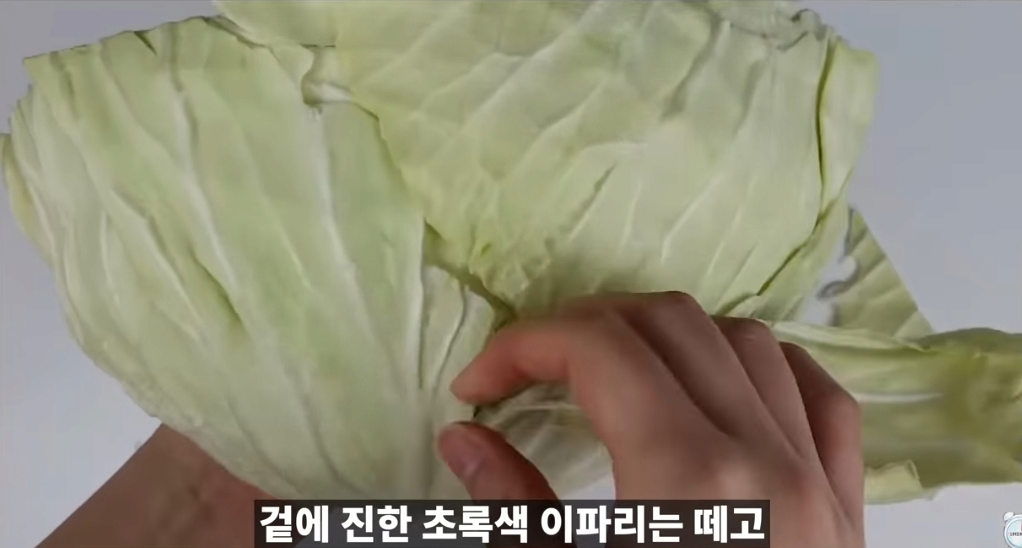 김짤.com_010.png