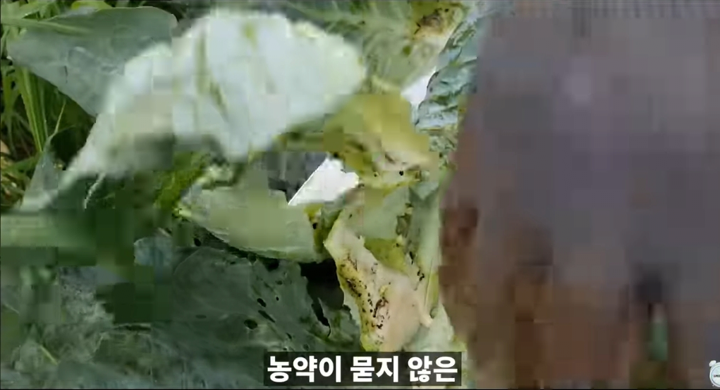 김짤.com_004.png