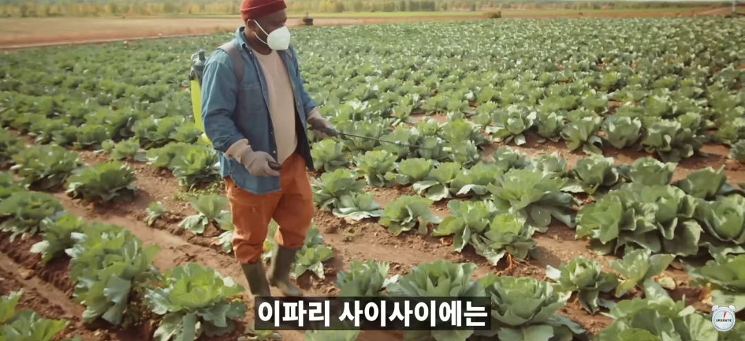 김짤.com_006.png