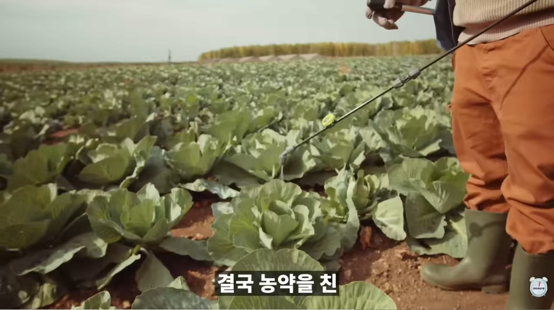 김짤.com_001.png