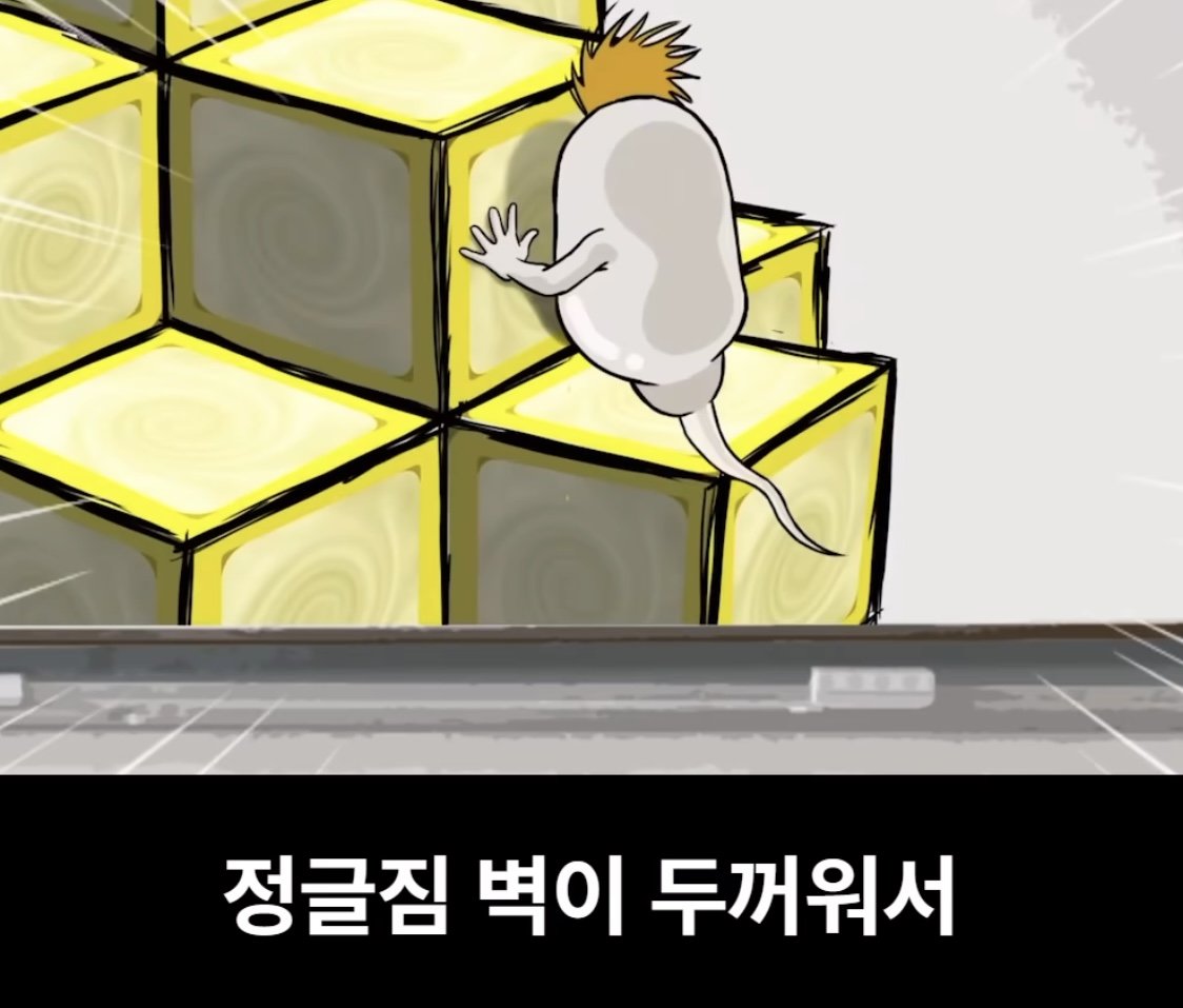 어느 남고의 성교육 시간 ㄷㄷㄷㄷ...jpg
