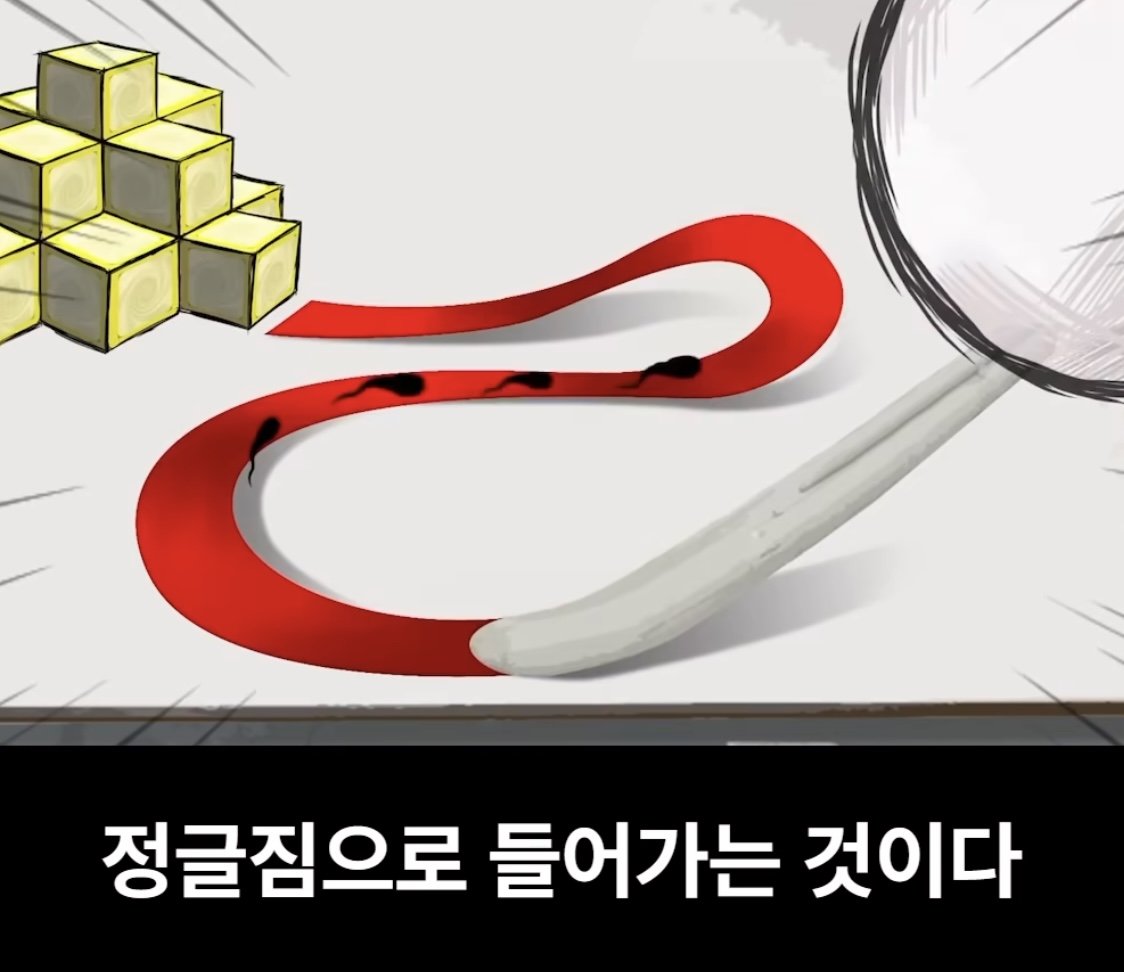 어느 남고의 성교육 시간 ㄷㄷㄷㄷ...jpg