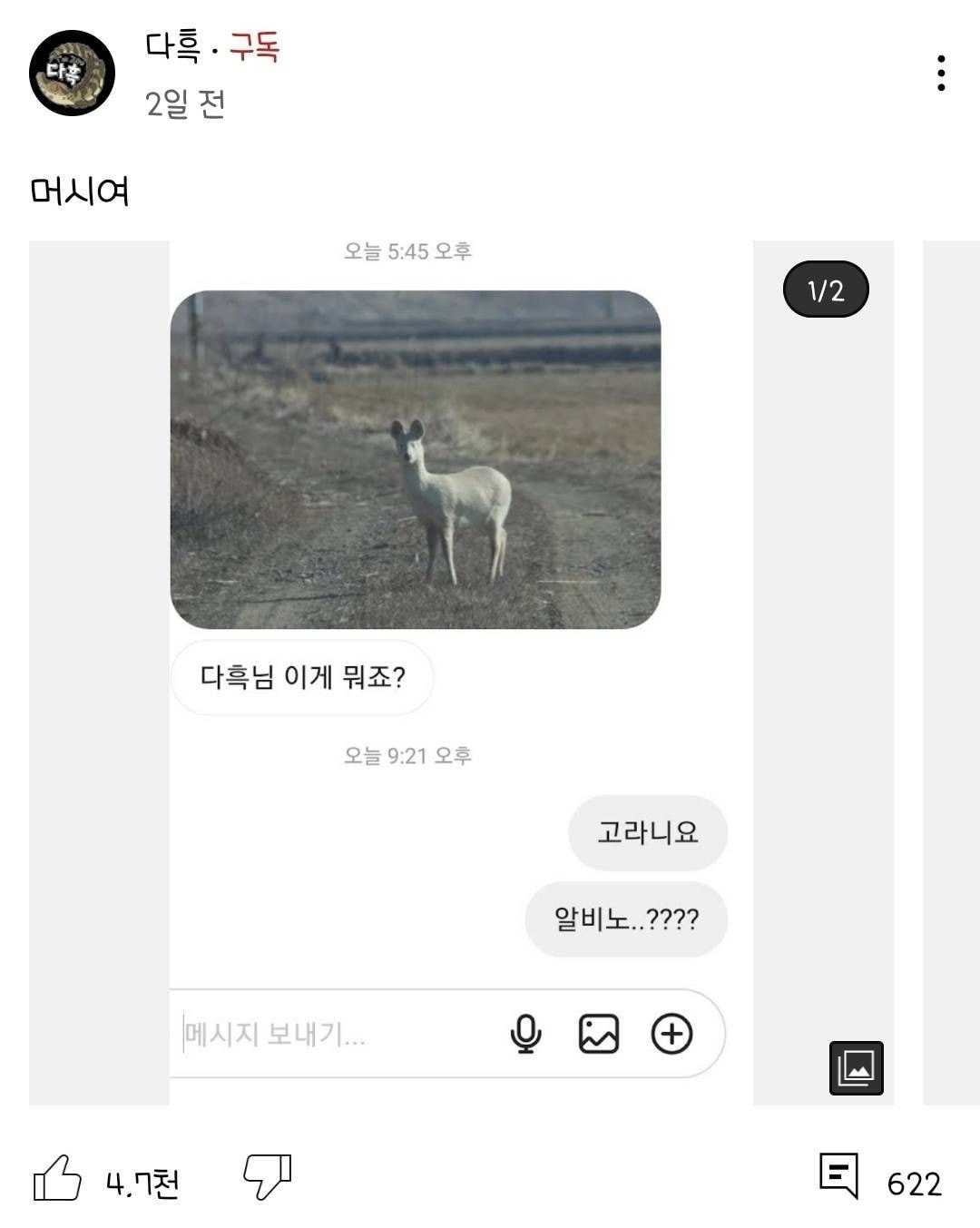 s001.jpg