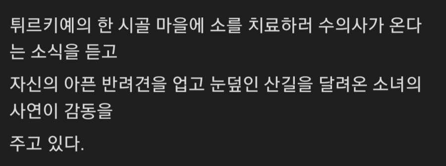IMG_2391.jpeg 마을에 수의사 온다는 소식에 아픈 개 업고 달려온 소녀.jpg