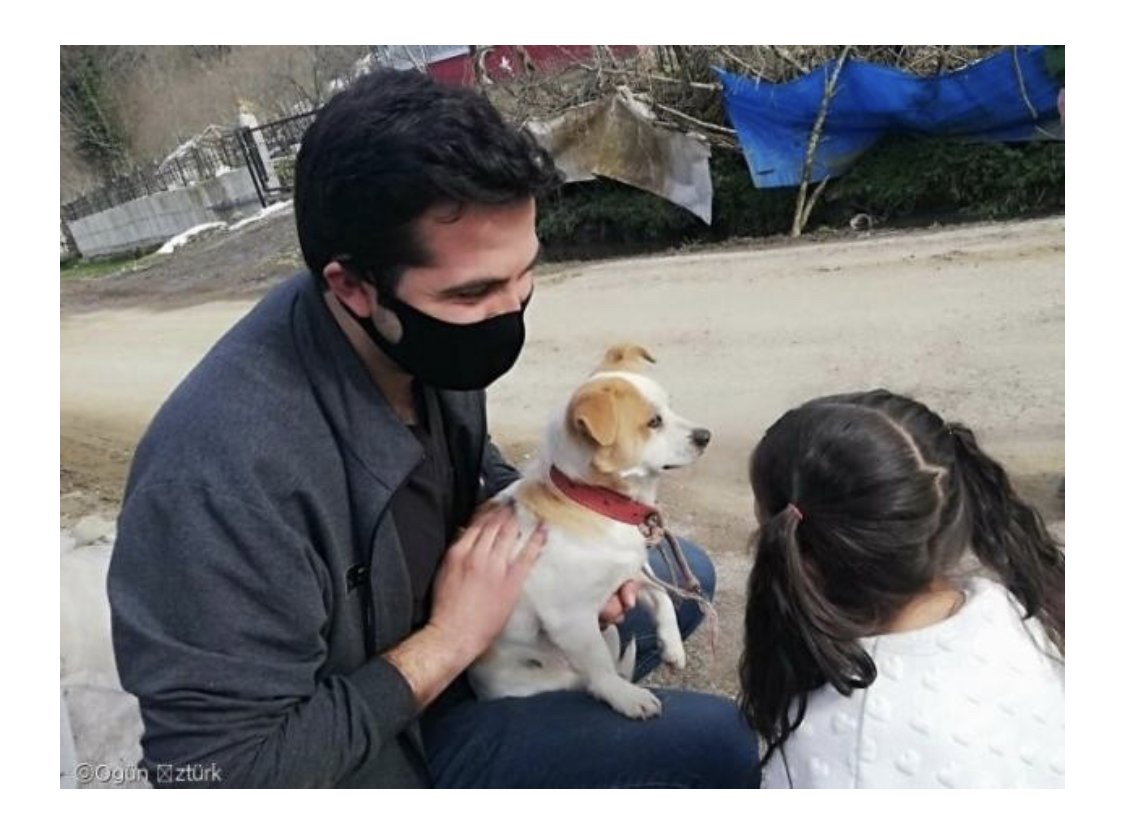 IMG_2388.jpeg 마을에 수의사 온다는 소식에 아픈 개 업고 달려온 소녀.jpg