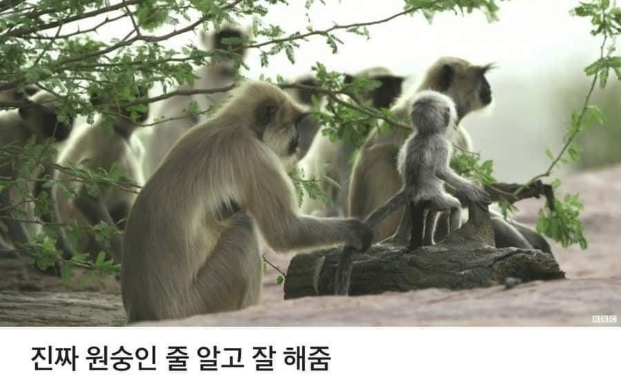 24post.co.kr_002.jpg