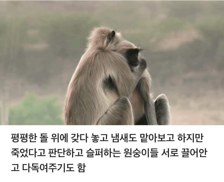 24post.co.kr_008.jpg