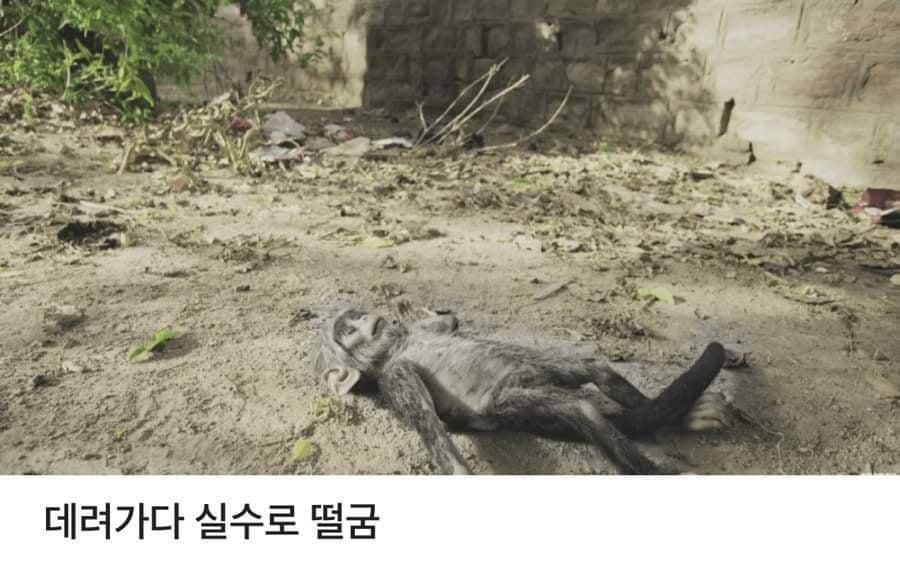 24post.co.kr_004.jpg