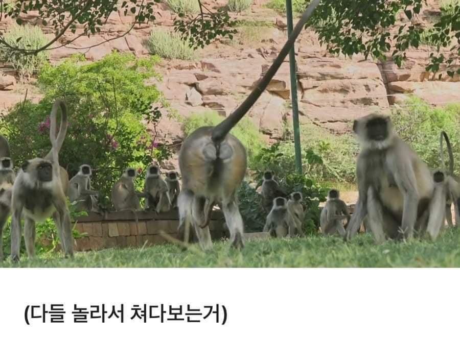 24post.co.kr_005.jpg