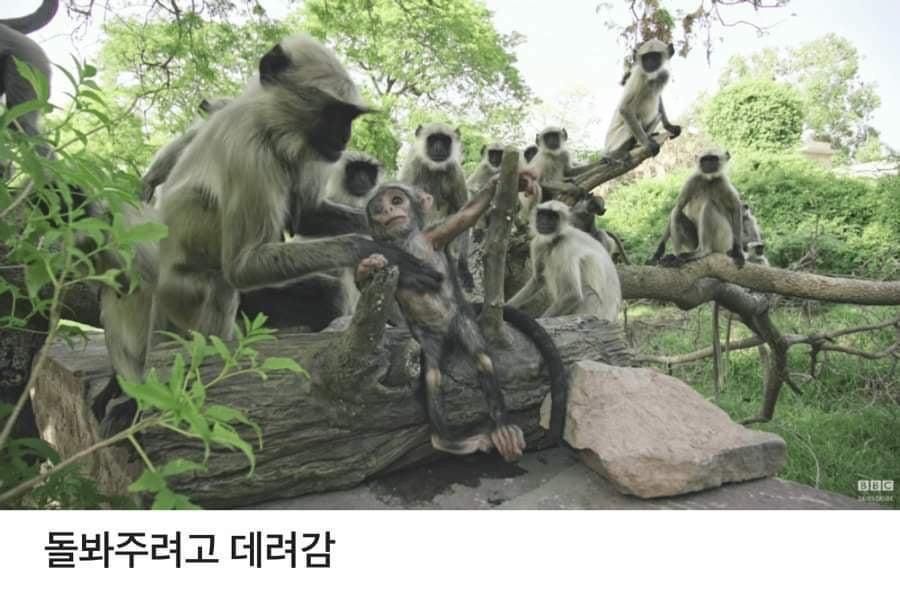 24post.co.kr_003.jpg