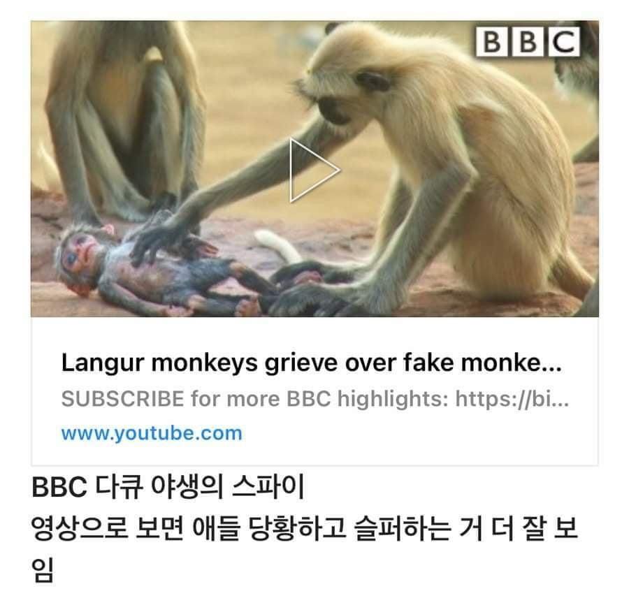 24post.co.kr_010.jpg