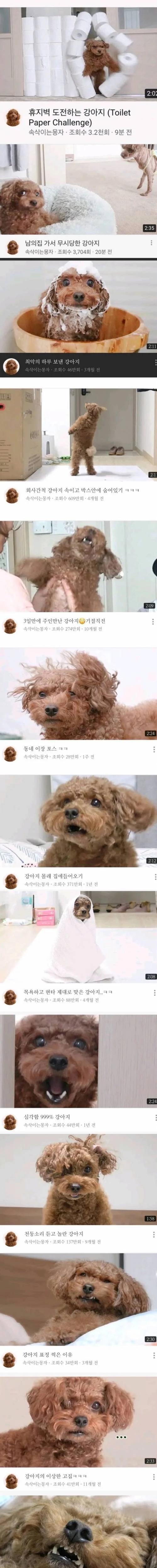 1.webp.jpg