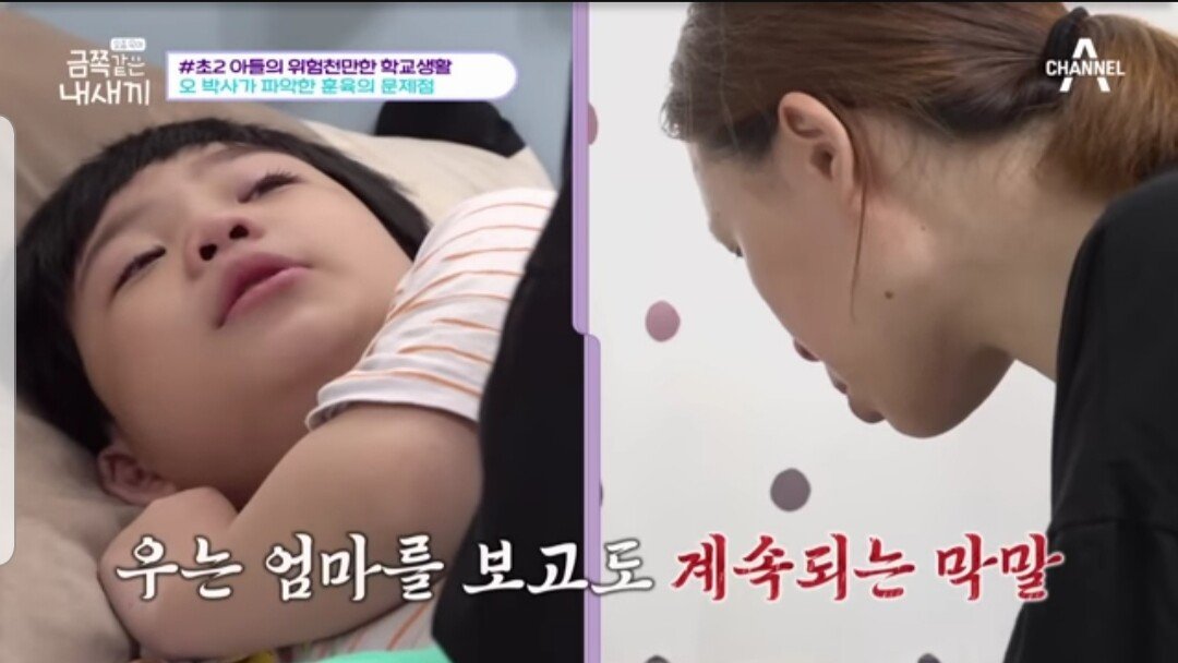 20230719_221204.jpg 반사회성 인격장애 만드는 훈육 못하게하는 부모육아방식.jpg