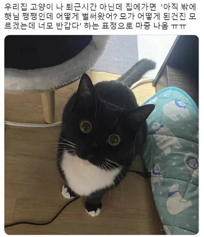 7e2ce30665284ffc868feafe0e8ad872.jpeg