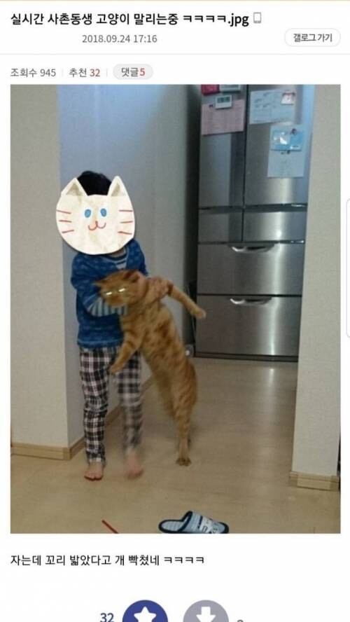 a_w9e93f3001_ee9132418941af61d4c6f86f93a9e98256b2504a.jpg